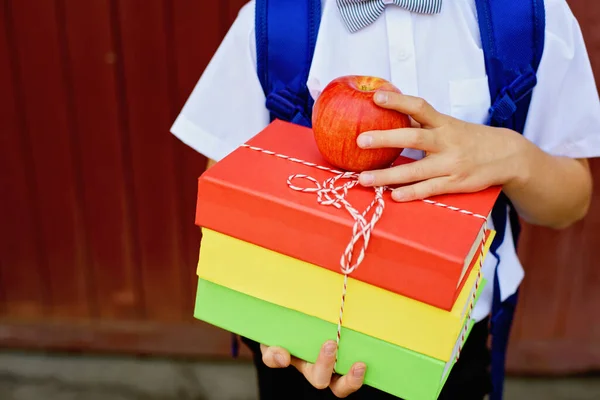 Niño Escuela Feliz Pie Con Libros Sobre Fondo Madera Roja —  Fotos de Stock