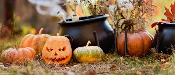 Fondo Halloween Espeluznante Linterna Calabaza Bosque Oscuro Banner Diseño Halloween — Foto de Stock