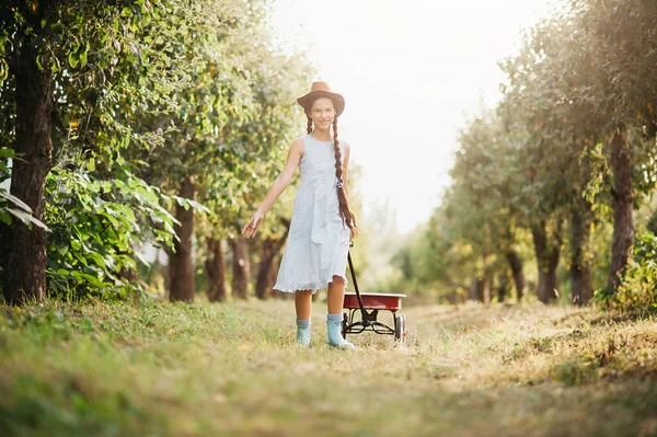 赤い有機リンゴの屋外で食べる女の子の肖像画 収穫の概念 秋に農場でリンゴを摘む子供 子供と生態学 健康的な栄養 庭料理 — ストック写真