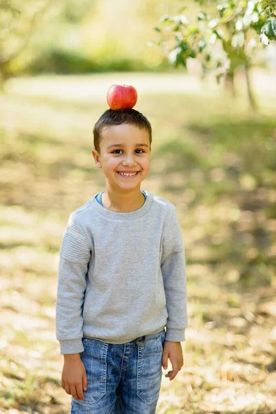 Retrato Niño Comiendo Manzana Roja Orgánica Aire Libre Concepto Cosecha —  Fotos de Stock