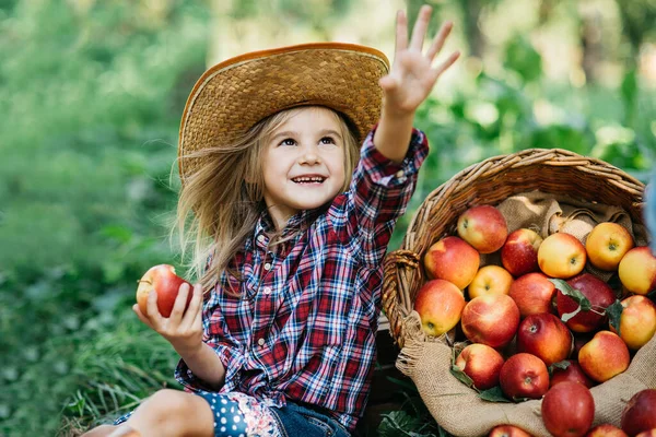 portrait of girl eating red organic apple outdoor. Harvest Concept. Child picking apples on farm in autumn. Children and Ecology. Healthy nutrition. Garden Food