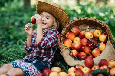 Dışarıda organik kırmızı elma yiyen bir kızın portresi. Hasat Konsepti. Sonbaharda çiftlikte elma toplayan bir çocuk. Çocuk ve Ekoloji. Sağlıklı beslenme. Bahçe Yemeği