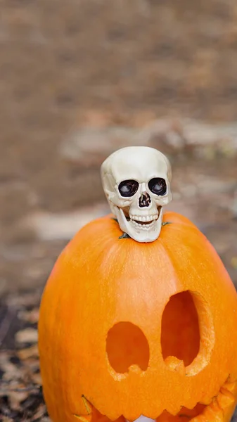 Fondo Calabaza Festiva Halloween Fondo Halloween Bosque Espeluznante Vertical 9X16 — Foto de Stock