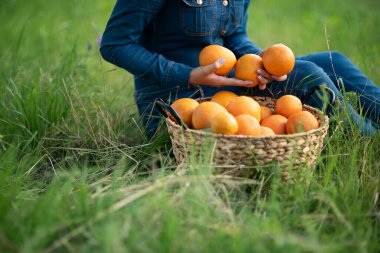 Portakal bahçesindeki portakallı kız. Bahçede organik portakallı güzel kız kardeşler. Hasat Konsepti. Bahçe, gençlik sonbahar hasadında meyve yiyor.