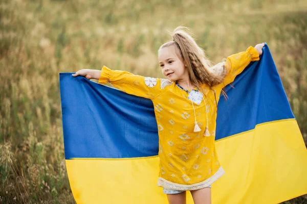 Bandera Azul Amarilla Ucrania Campo Día Bandera Independencia Ucrania Día — Foto de Stock