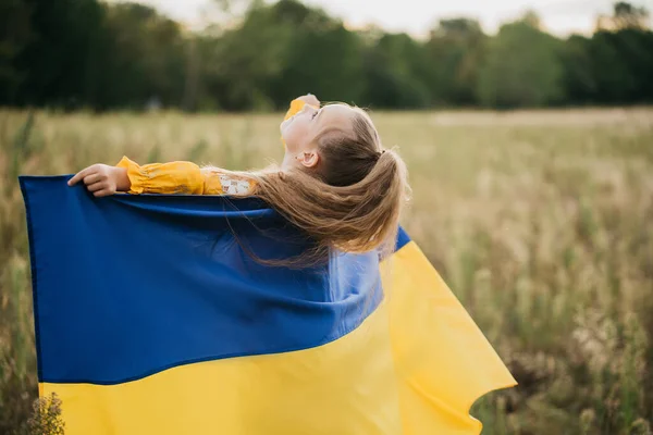 Полі Блакитний Жовтий Прапор України День Незалежності України День Конституції — стокове фото