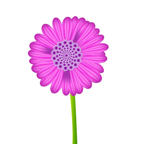 One Vector Realistic Purple Flower Eps10 Your Design — Stock Vector