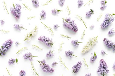 Beyaz zemin üzerine eflatun ve beyaz çiçekli çiçek kompozisyon