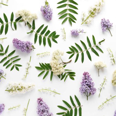 Beyaz zemin üzerine eflatun ve beyaz çiçekli çiçek kompozisyon