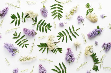 Beyaz zemin üzerine eflatun ve beyaz çiçekli çiçek kompozisyon