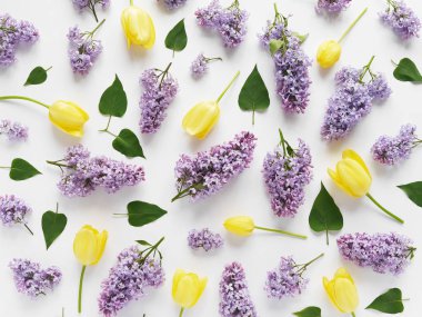 Eflatun çiçekler, lale ve yeşil çiçek kompozisyonu beyaz arka plan üzerinde bırakır