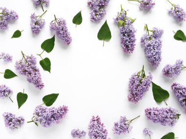 Beyaz arka plan üzerinde Lila ve yeşil yapraklarla çiçek kompozisyon