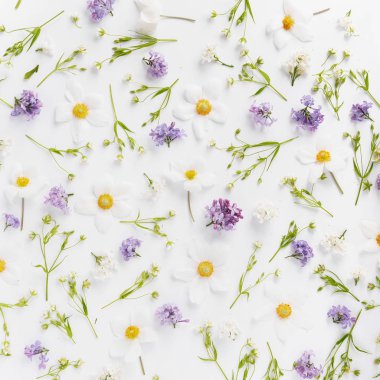 Çiçek kompozisyon Lila ile kır çiçekleri ve yasemin beyaz zemin üzerine beyaz 