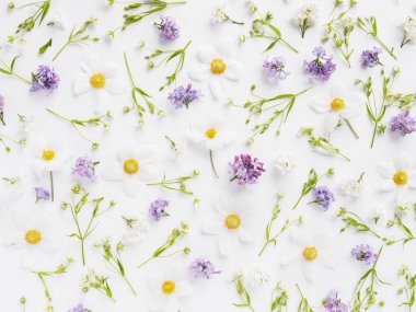 Çiçek kompozisyon Lila ile kır çiçekleri ve yasemin beyaz zemin üzerine beyaz 