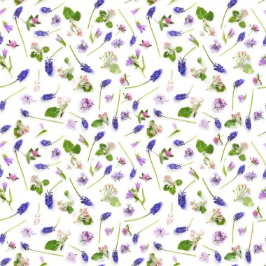 Elma çiçekler, mor Muscari çiçek ve yonca çiçek beyaz zemin üzerine Dikişsiz desen