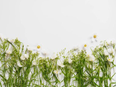 Kır çiçekleri ve yasemin beyaz arka planda satır 