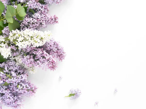 Vue Rapprochée Bouquet Lilas Sur Fond Blanc — Photo