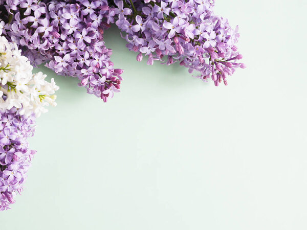 Закрыть вид на пучок лилейника на зеленом фоне
 