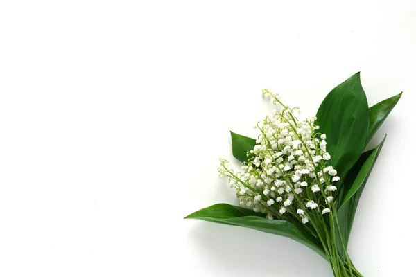 Букет Лілій Квітів Долини Білому Тлі — стокове фото