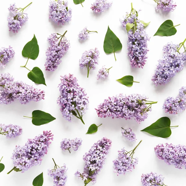 Beyaz arka plan üzerinde Lila ve yeşil yapraklarla çiçek kompozisyon