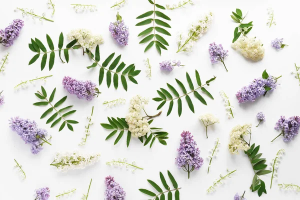 Beyaz zemin üzerine eflatun ve beyaz çiçekli çiçek kompozisyon