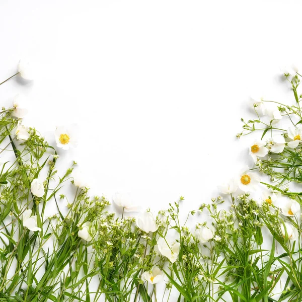 野の花とジャスミンの白い背景の上の行 — ストック写真