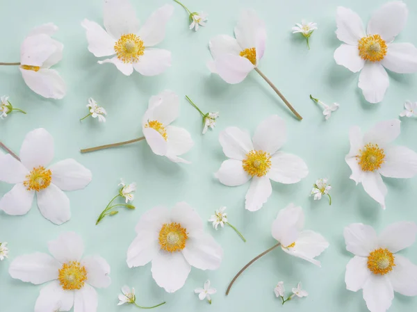 Patrón Sin Costuras Con Flores Jazmín Blanco Flores Silvestres Blancas — Foto de Stock