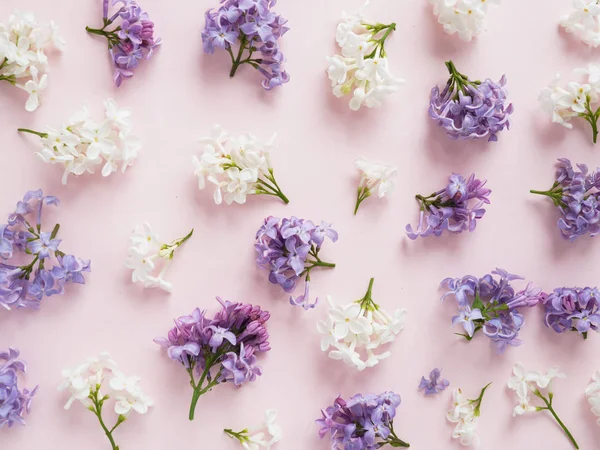 Flores Lila Púrpura Blanca Sobre Fondo Rosa Pastel — Foto de Stock