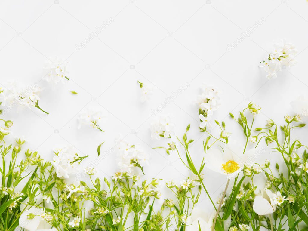 Row of wildflowers and jasmine on white background 