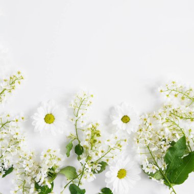 Beyaz çiçek ve beyaz arka plan üzerinde papatya çiçek kompozisyonu