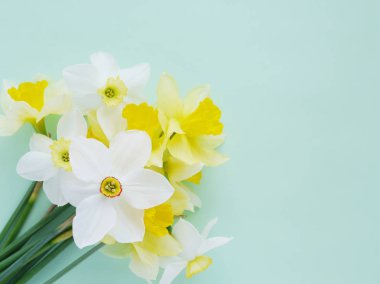 Parlak yeşil zemin üzerine beyaz ve sarı jonquils