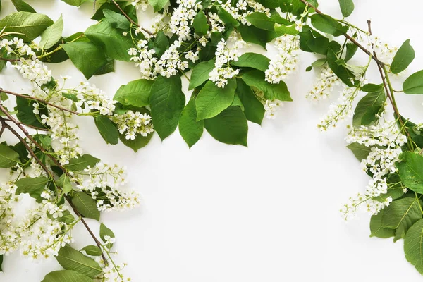 Florale Komposition Mit Blühenden Grünen Zweigen Auf Weißem Hintergrund — Stockfoto