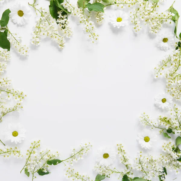 Florale Komposition Mit Weißen Blüten Und Gänseblümchen Auf Weißem Hintergrund — Stockfoto