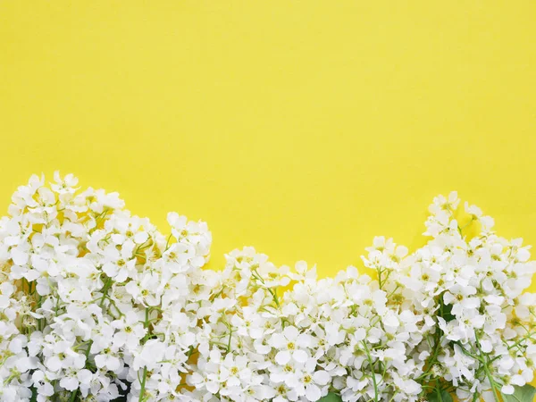 Stock image Floral backdrop with white wildflowers on bright yellow background