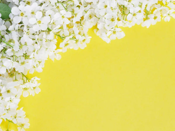 Floral backdrop with white wildflowers on bright yellow background