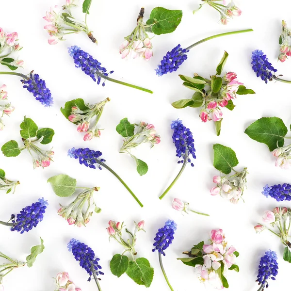 Floral Compositie Bij Apple Bloemen Paarse Muscari Witte Achtergrond — Stockfoto