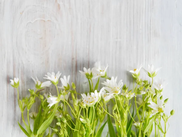 Weiße Wildblumen Auf Hellem Holzgrund — Stockfoto