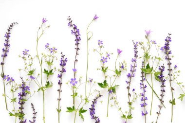 Beyaz arka plan üzerinde farklı mor çiçekler çiçek sınır yapılmış