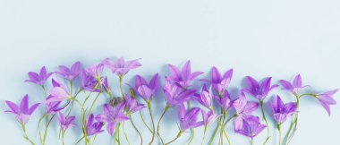 Çiçek sınır menekşe bellflowers pastel mavi zemin üzerine yapılmış