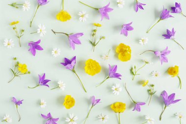 Beyaz kır çiçekleri, bellflowers, pastel yeşil zemin üzerine Düğünçiçekleri sorunsuz çiçek desenli