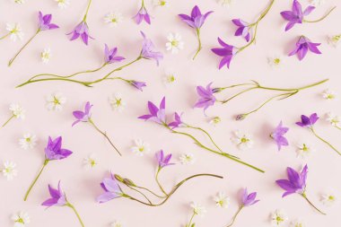 Beyaz kır çiçekleri ve bellflowers soluk pembe bir arka plan üzerinde seamless modeli