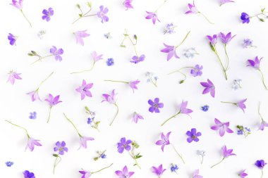 Bellflowers ve beyaz arka plan üzerinde izole korun seamless modeli