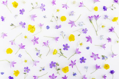 Dikişsiz desen Düğünçiçekleri, bellflowers ve beyaz arka plan üzerinde izole korun