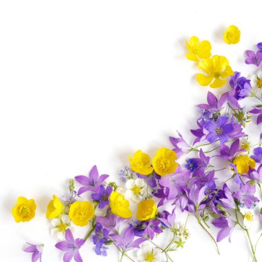 Sınır Düğünçiçekleri ve beyaz arka plan üzerinde izole bellflowers yapılmış