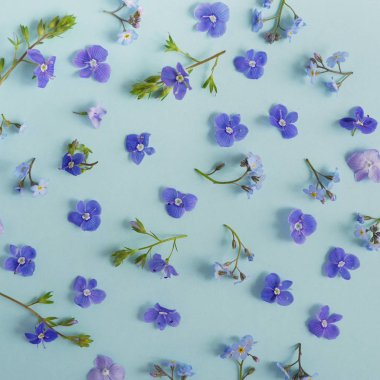 Farklı çiçekler seamless modeli