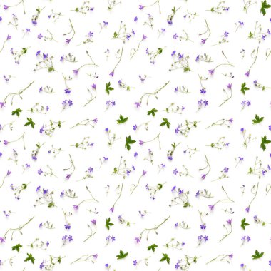 Beyaz arka plan üzerinde izole bellflowers ile Seamless modeli