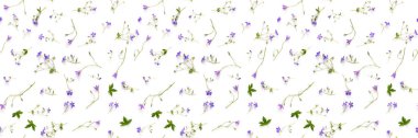 Beyaz arka plan üzerinde izole bellflowers yapılmış sorunsuz çiçek desenli