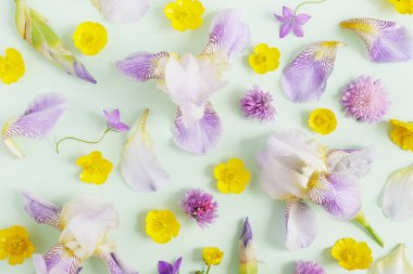 Orkide, Düğünçiçekleri ve yonca soluk yeşil zemin üzerine