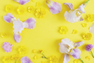 Orkide, Düğünçiçekleri ve parlak sarı zemin üzerine yonca