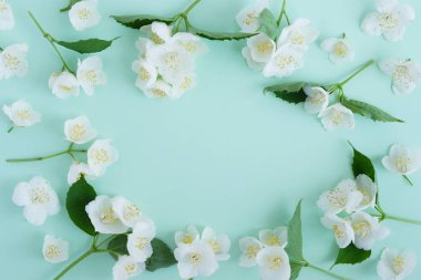 Yasemin çiçek pastel mavi zemin üzerine çerçeve yaptı